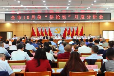 全市10月份“拼抢实”月度分析会召开