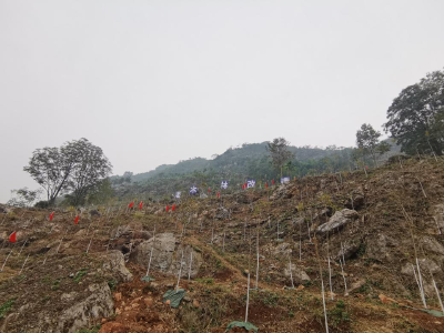 荒山披绿装 生态展新颜 ——全省荒山绿化现场推进会侧记