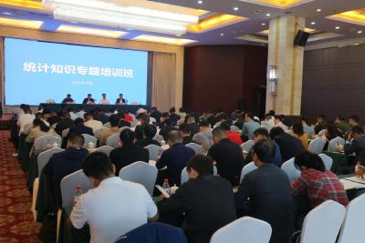 【大冶市第五次全国经济普查之窗】我市举行统计知识专题培训班