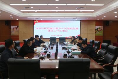 我市召开城市数字公共基础设施建设专题会议