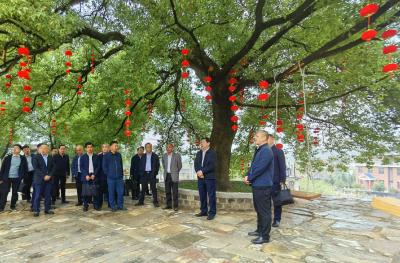 全市共同缔造体制机制创新工作推进会召开 积极深入群众 用好“五共方法” 探索更多共同缔造体制机制创新成果 陆建义参加并讲话 郝胜勇主持