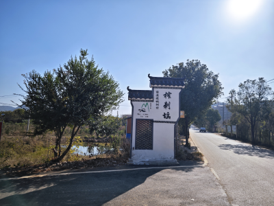 【大美大冶 共同缔造】桃树村：把好事办到群众心坎上