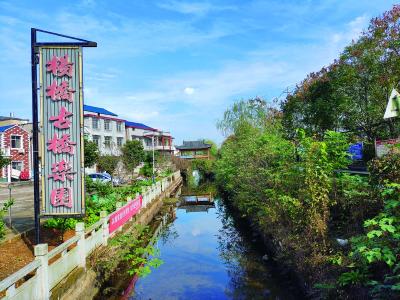 【大美大冶 共同缔造】杨桥村：村企共建 带动村民共同致富 　