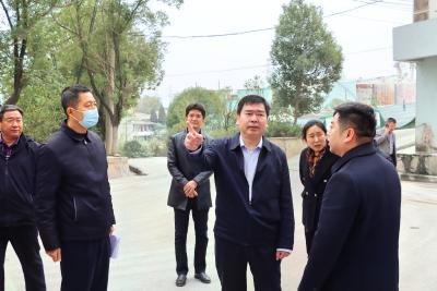 郝胜勇调研重点突出环境问题整治进展情况