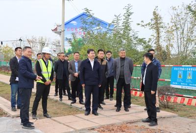 清华大学中国城市研究院来我市调研新型农房建设试点工作 充分发挥专家技术资源专业优势 助力大冶新型农房建设试点工作