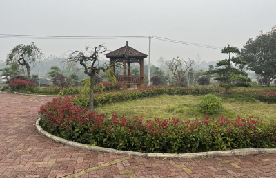 【保持“拼抢实”·奋进“五十强” 聚焦八大行动之乡村振兴】金桥生态园：向绿而生 蓬勃发展