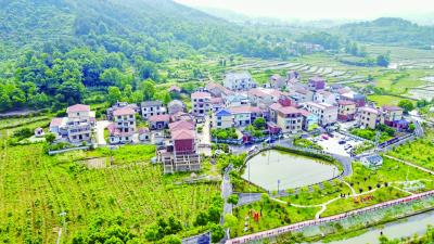 大力实施“千百工程” 深入推进乡村振兴——全省学习运用“千万工程”经验强力推进强县工程实施现场会大冶观摩活动侧记