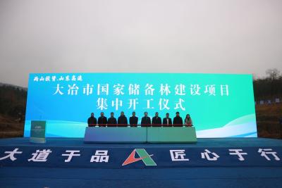 【保持“拼抢实”·奋进“五十强” 聚焦八大行动之乡村振兴】营造储备林39.46万亩 发展林下种养殖4万亩 大冶市国家储备林建设项目集中开工