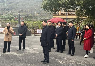 全省学习运用“千万工程”经验强力推进强县工程实施现场会大冶现场观摩活动举行 用好共同缔造理念和方法 以“千百工程”助力乡村振兴