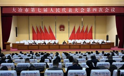 市七届人大四次会议预备会议召开