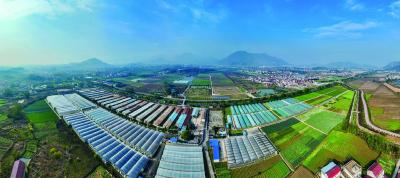 凝心聚力谋发展 奋发有为谱新篇——市两会召开在全市社会各界引起热烈反响