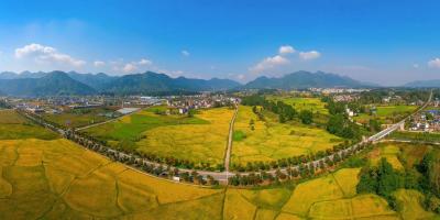 【保持“拼抢实”·奋进“五十强” 聚焦八大行动之乡村振兴】沃野涌动希望 乡村迸发活力——我市高质量推进乡村振兴