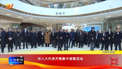 市人大代表开展集中视察活动