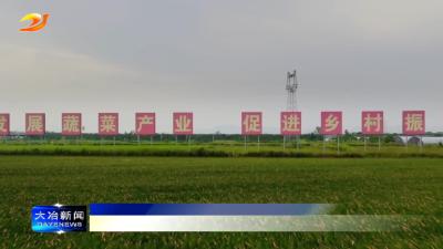 我市一案例上榜第五批全国乡村治理典型案例