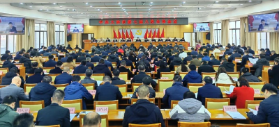 挑大梁当好排头兵 唯实干托起幸福感——中共大冶市委七届八次全体会议侧记