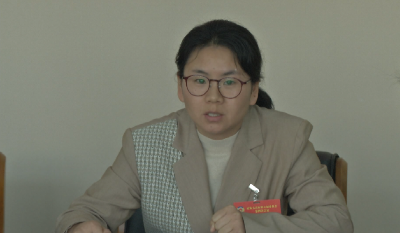 市政协委员分组讨论