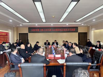 郝胜勇参加灵乡代表团审议