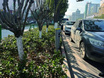 42条泊位路段 4328个停车泊位 我市开启“智慧停车”时代