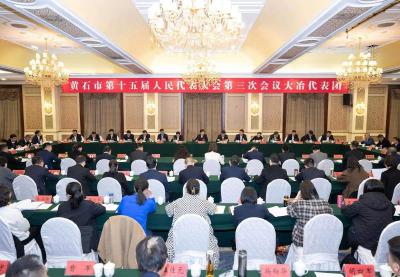 郄英才参加大冶代表团审议 锚定目标 加压奋进 加快推动县域经济高质量发展