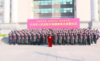 为高质量发展提供坚实司法保障——大冶市人民法院工作报告解读