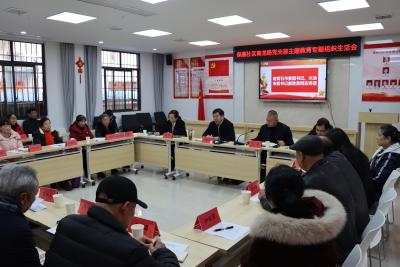 持续巩固拓展主题教育成果 把党建引领贯穿基层治理全过程