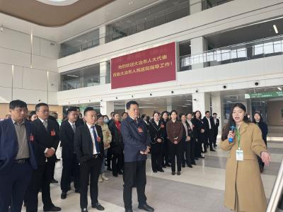 市人大代表开展集中视察活动