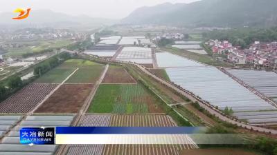 简讯：我市3村入选全省首批“一村一品”示范村