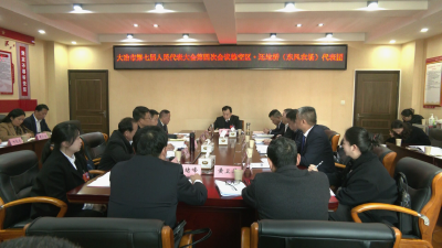 孙辄参加陈贵代表团、临空经济区·还地桥（东风农场）代表团审议