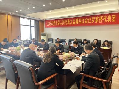 潘小进参加罗家桥代表团审议