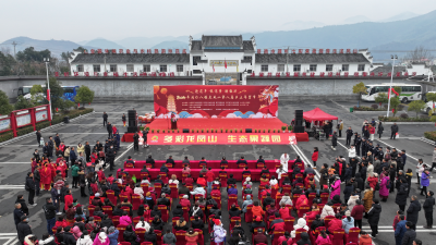 红火年货节 年味别样浓