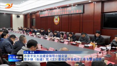 市委平安大冶建设领导小组会议暨乡镇（街道）党（工）委书记平安稳定工作专题会召开
