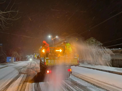冰雪考验下的大冶作为——我市抗冰雪保民生工作纪实