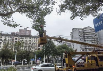 【新春走基层】全市上下提前应对低温雨雪冰冻天气