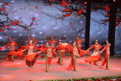 春节期间我市文旅市场人气旺