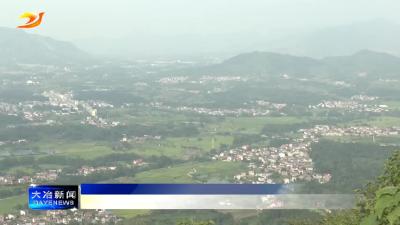 简讯：市林业局获评全国先进