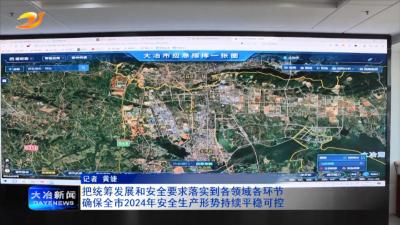 把统筹发展和安全要求落实到各领域各环节 确保全市2024年安全生产形势持续平稳可控