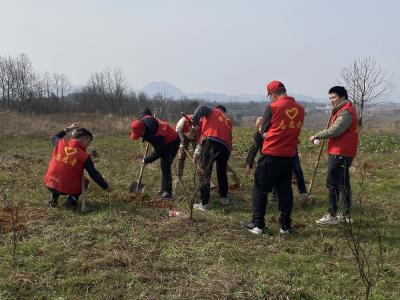 万物复苏始于春 植树添绿正当时