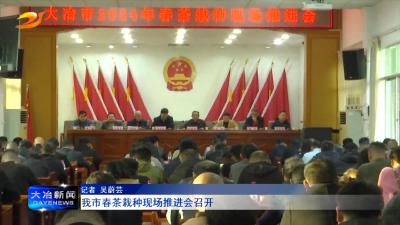 我市春茶栽种现场推进会召开