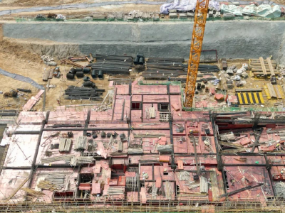 【冲刺开门红】大冶湖高新区：重点项目建设再提速