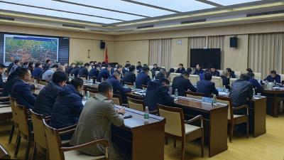 郝胜勇赴临空经济区·还地桥镇调研一季度“开门红”工作