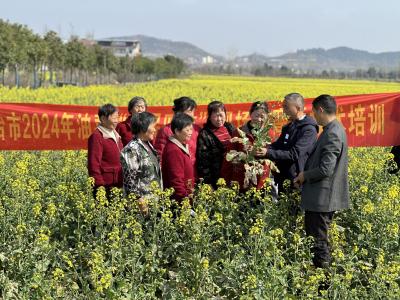 抢抓农时不负春——我市有序推进春耕备耕工作