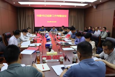郝胜勇主持召开市委书记巡察工作专题会议 有效发挥巡察利剑作用 推动各项重点工作齐头并进