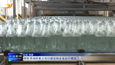 郝胜勇调研重点项目建设和企业运行情况