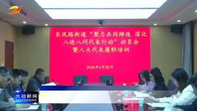 东风路街道召开“聚力共同缔造深化‘八进八问’代表行动”动员会暨人大代表履职培训活动