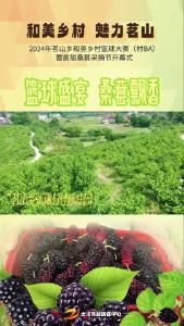 4月30日18：00，篮球盛宴，桑葚飘香