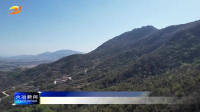 简讯：我市获2023年湖北省林长制工作激励