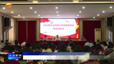 我市举办2024年统计系统业务培训暨党员轮训