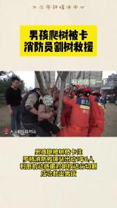 男孩爬树被卡 消防员割树救援