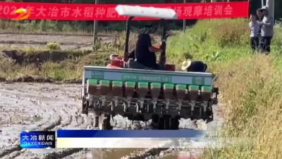 机械化作业助力水稻播种