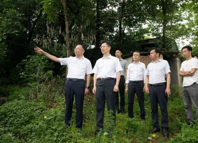 郄英才调研中央生态环境保护督察反馈问题整改情况